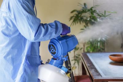 Fumigation Service in Katy, TX