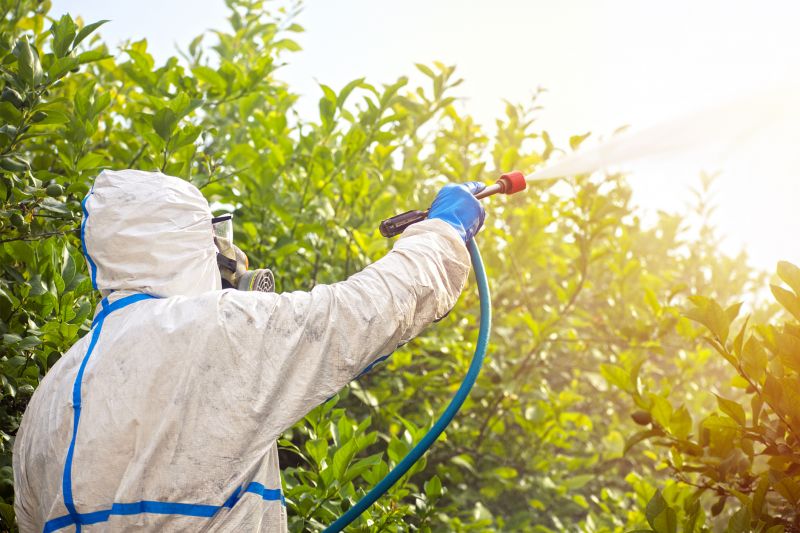 Fumigation Service in Franklin, TN