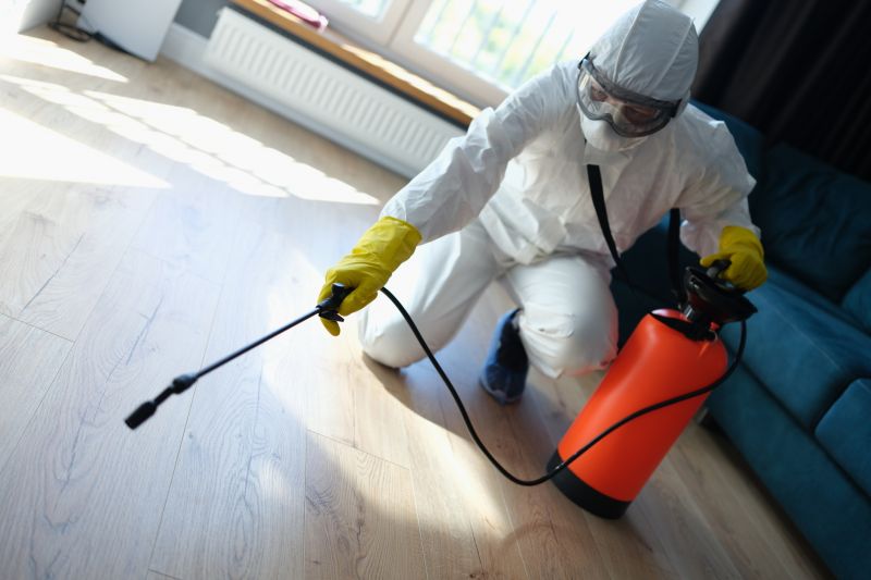 Beetle Removal in Frisco, TX