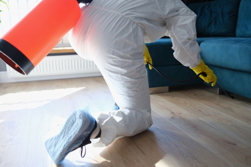 Spider Fumigation Service in Toledo, OH