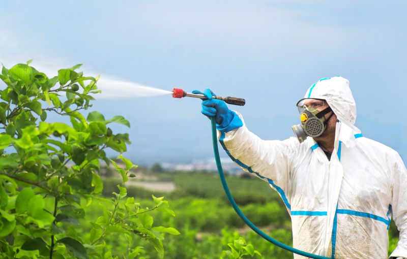Spider Fumigation Service in Franklin, TN