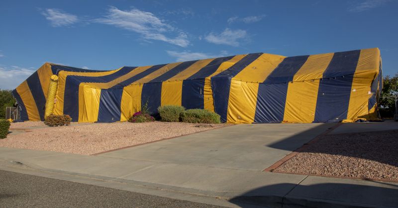 Tent Fumigation in Tampa, FL
